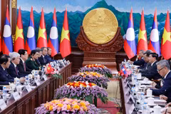 Vietnamese State President holds talks with top Lao leader 