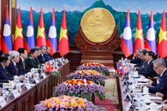 Vietnamese State President holds talks with top Lao leader