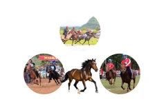 Vietnam’s horse racing festivals: Unique folk sporting tradition