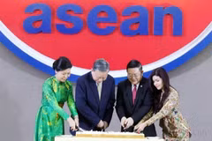 Vietnam plays active, proactive and responsible role in ASEAN (P2)