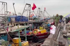 Hai Phong steps up efforts to remove IUU yellow card