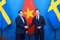 Prime Minister Pham Minh Chinh holds talks with Swedish counterpart