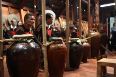 ‘Che’ preserves Ede cultural heritage in Dak Lak