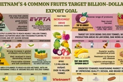 Four common fruits expected to be next billion-dollar exports