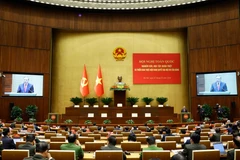 National conference held to disseminate, implement Party Congress’s resolution