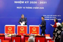 Party General Secretary To Lam casts ballot in Ba Dinh ward, Hanoi