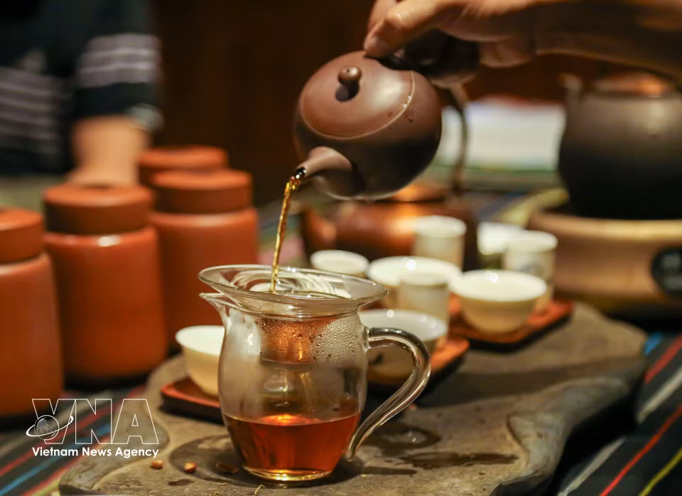 When poured into a cup, Shan Tuyet tea reveals its amber-red colour. This is the stage when the tea maker checks the dryness and aroma, preparing for tasting. (Photo: published by VNA)