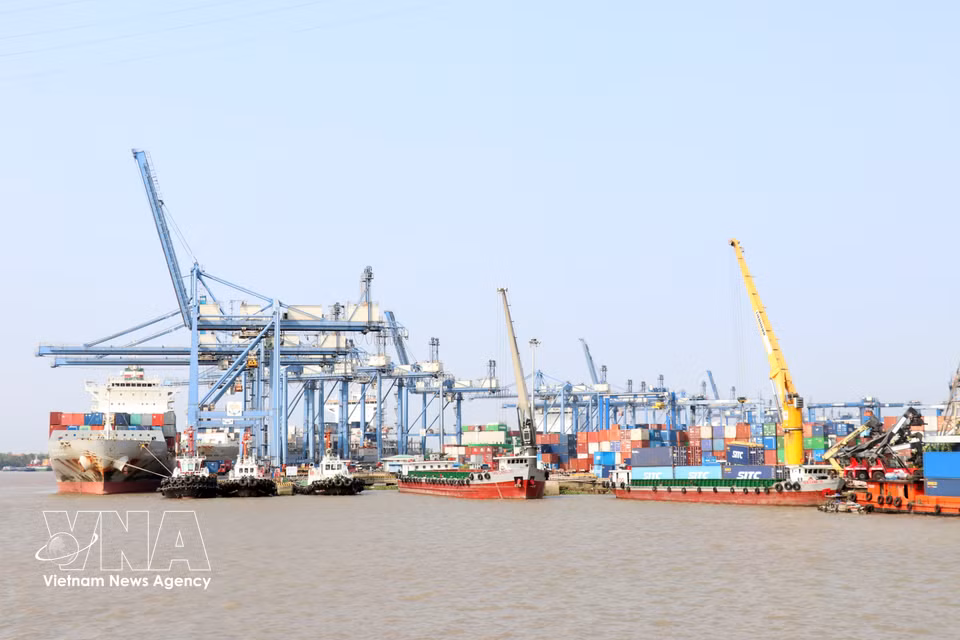 Cat Lai Port has developed strongly, becoming the largest and most modern container port in Vietnam. (Photo: VNA)
