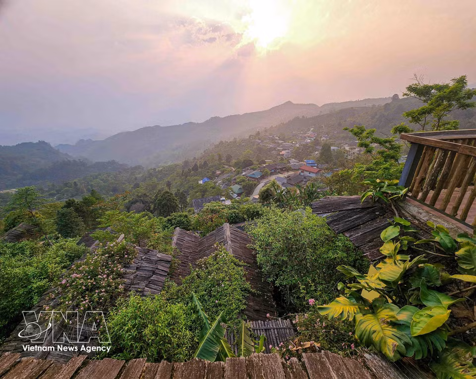 Located at an altitude of 1,300–1,400 metres above sea level, Suoi Giang (Lao Cai province) is home to stilt houses lining the hillsides, surrounded by lush greenery and a cool year-round climate – ideal conditions for Shan Tuyet tea to thrive. (Photo: published by VNA)