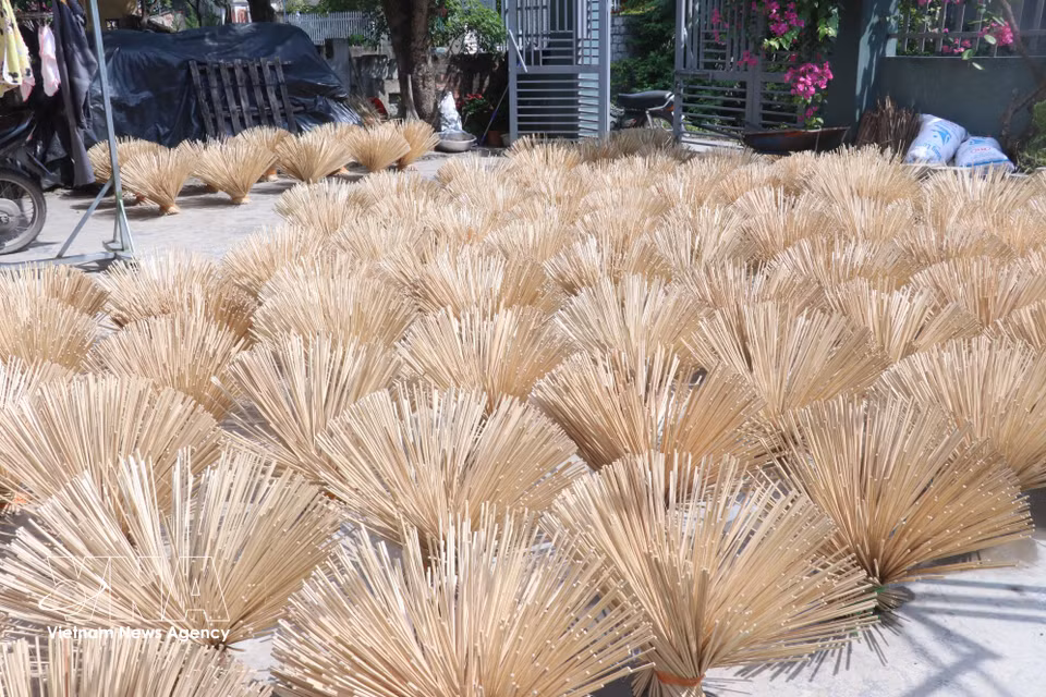 Incense sticks are dried after being split, ready for black incense production. (Photo: VNA)