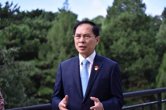 Foreign Minister Bui Thanh Son (Photo: VNA) FM-bui-thanh-son.webp