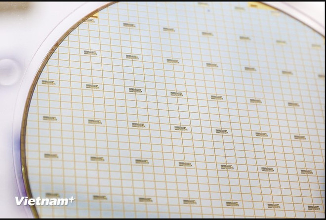 Screenshot 2024-11-19 152431.jpg