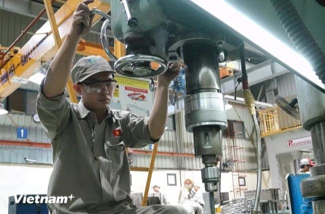 Science and technology advances have been optimised to improve productivity (Photo: VietnamPlus) 3.jpg