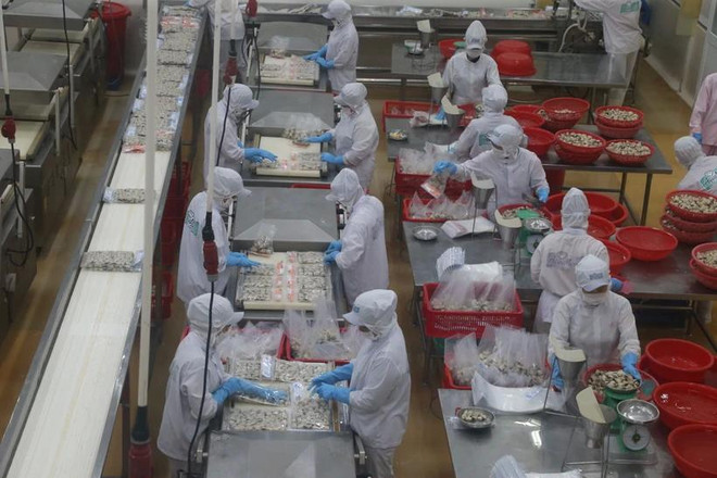 Vietnamese firms are inreasingly exploring opportunities to expand beyond the domestic borders. (Photo: VNA) Vietnamese firms.webp