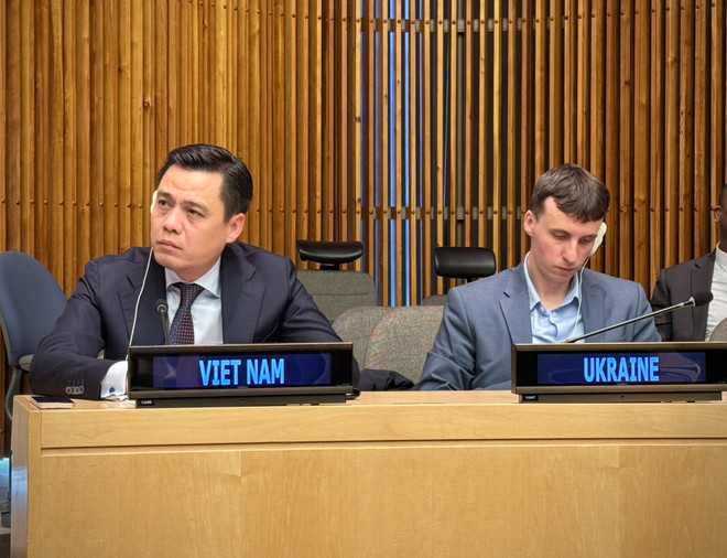 Permanent Representative of Vietnam to the UN Ambassador Dang Hoang Giang (Photo: VNA) dang-hoang-giang.jpg