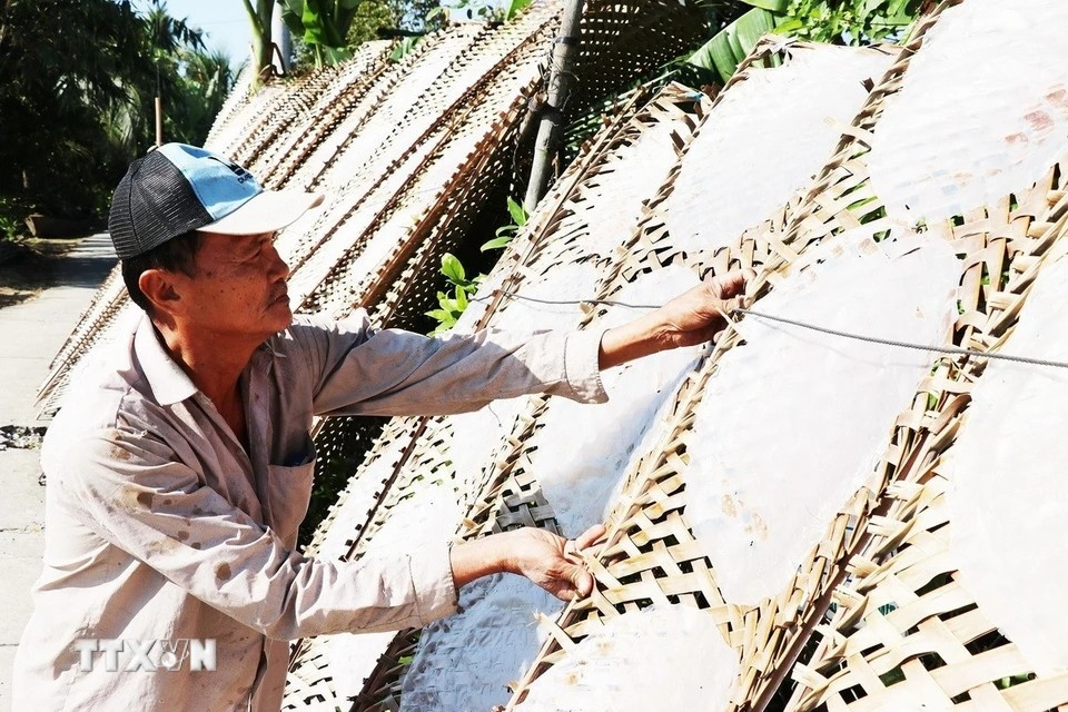 Huynh Van Cuoi from Hau Thuan hamlet, Hau Thanh commune, inspects the finished rice paper to ensure quality. (Photo: VNA)