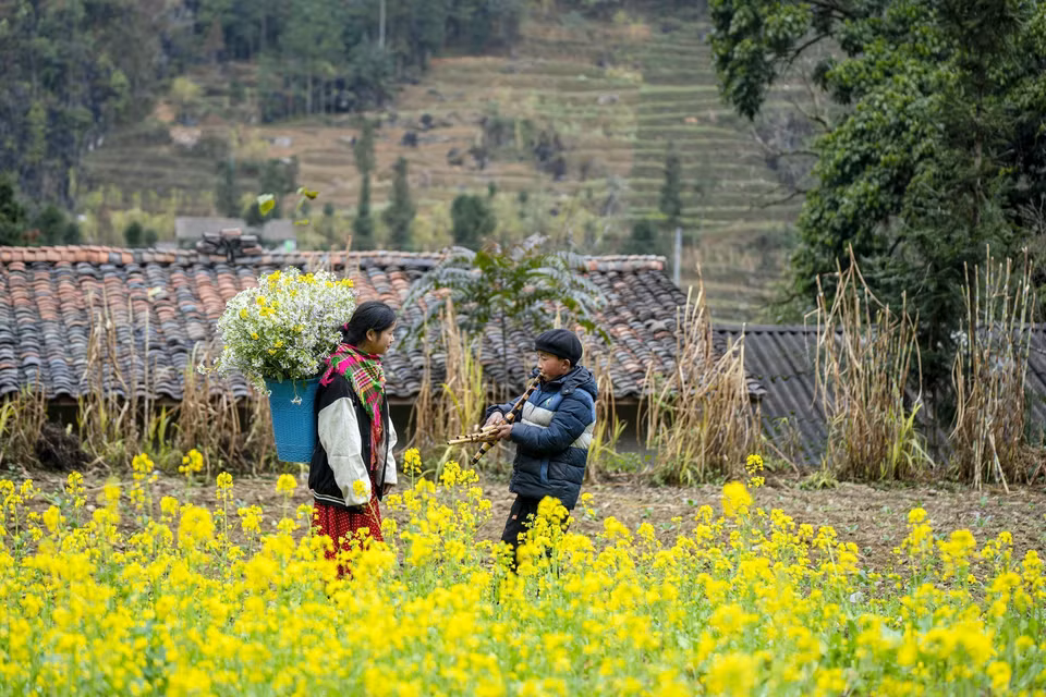 Pho Cao is a highland commune in Dong Van district, Ha Giang province, long renowned for its picturesque landscapes, traditional earthen houses showcasing the architectural essence of the Mong ethnic people, and deeply rooted customs. (Photo: VNA)