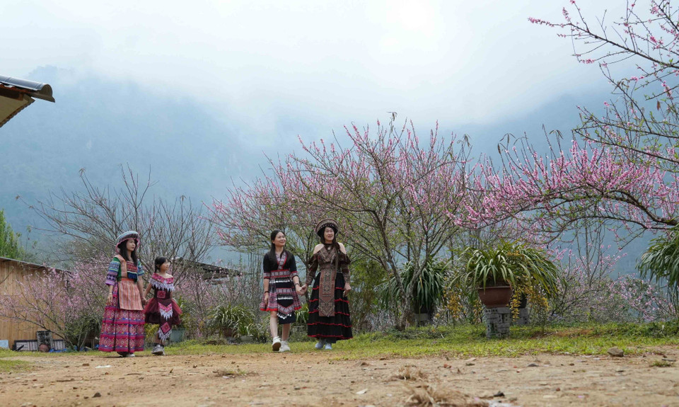 Visitors enjoy exploring Sin Suoi Ho village during the year-end season. (Photo: VNA)