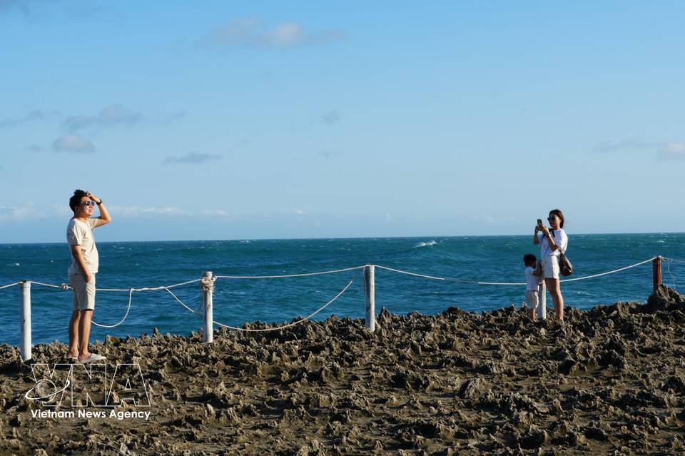 Visitors capture memorable moments amidst the scenic beauty of Nui Chua National Park. (Photo: VNA)