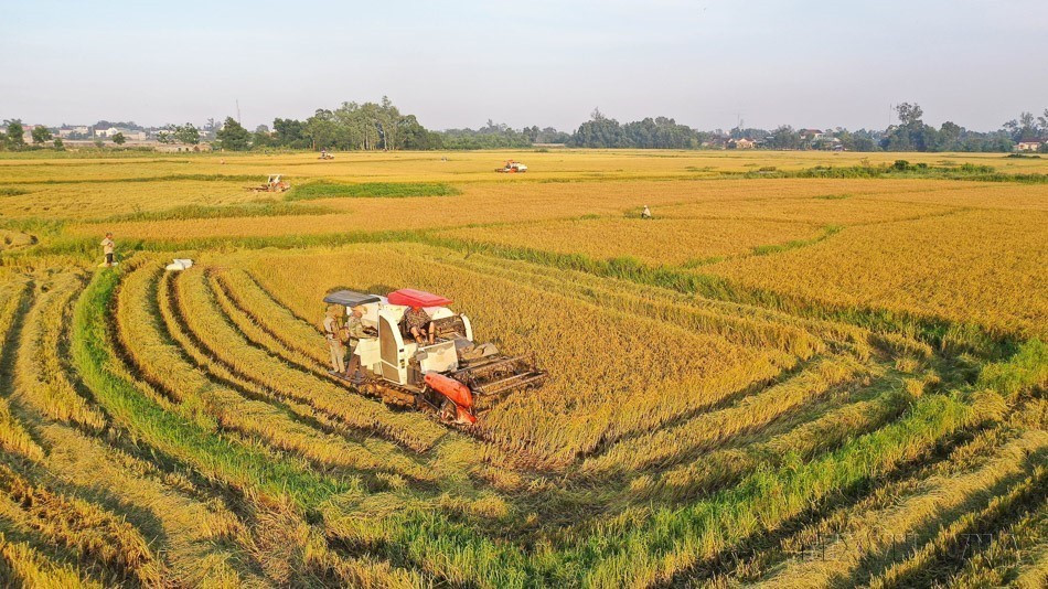 During the 2016–2025 period, the national economy records positive and comprehensive transformations; Vietnam's focus on science, technology, and innovation is closely linked to sustainable development and green growth goals. In the photo: Farmers in Cam Lo district, in the central province of Quang Tri, harvest the Winter-Spring rice crop. (Photo: VNA)