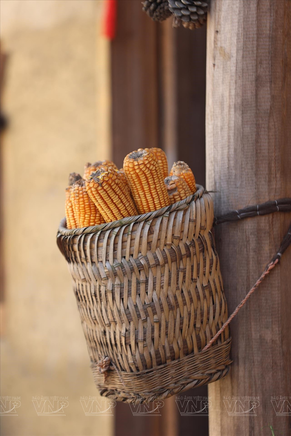 Farming practices are introduced to visitors. (Photo: Vietnam Pictorial/VNA)