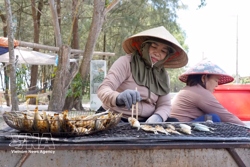Batches of golden-brown grilled herring reflect the dedication of women in the coastal communities. (Photo: VNA)