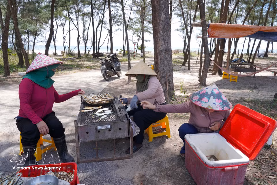 Although grilling herring does not require sophisticated techniques, experience is essential to control the heat, ensuring the fish is evenly cooked while retaining its natural sweetness and distinctive aroma. (Photo: VNA)