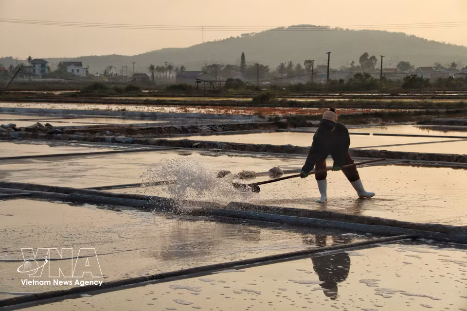 Salt farmers continuously channel seawater between different salt pans. (Photo: VNA)