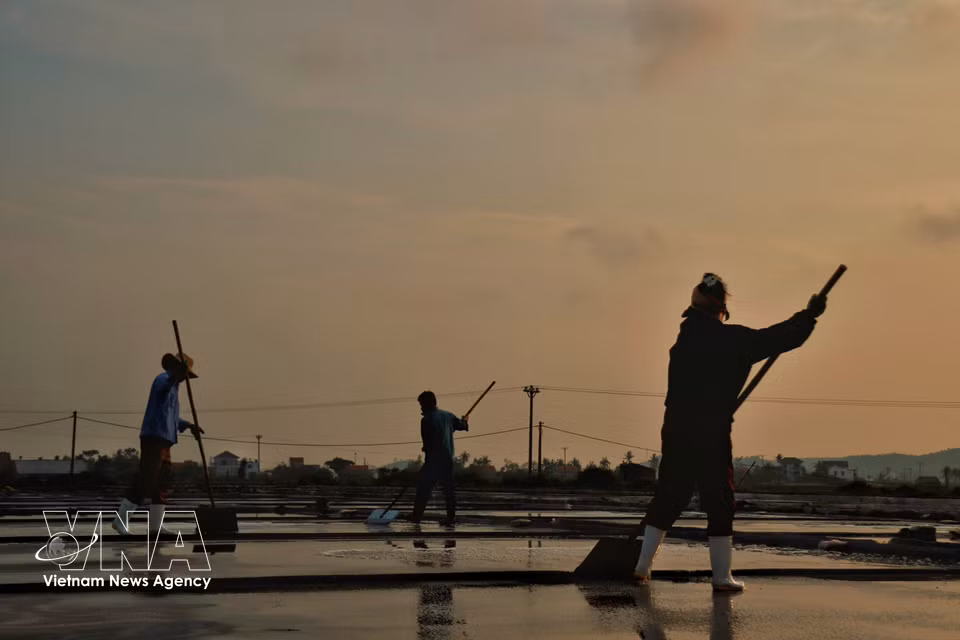 As the sun rises higher, the salt fields become bustling with production activities. (Photo: VNA)