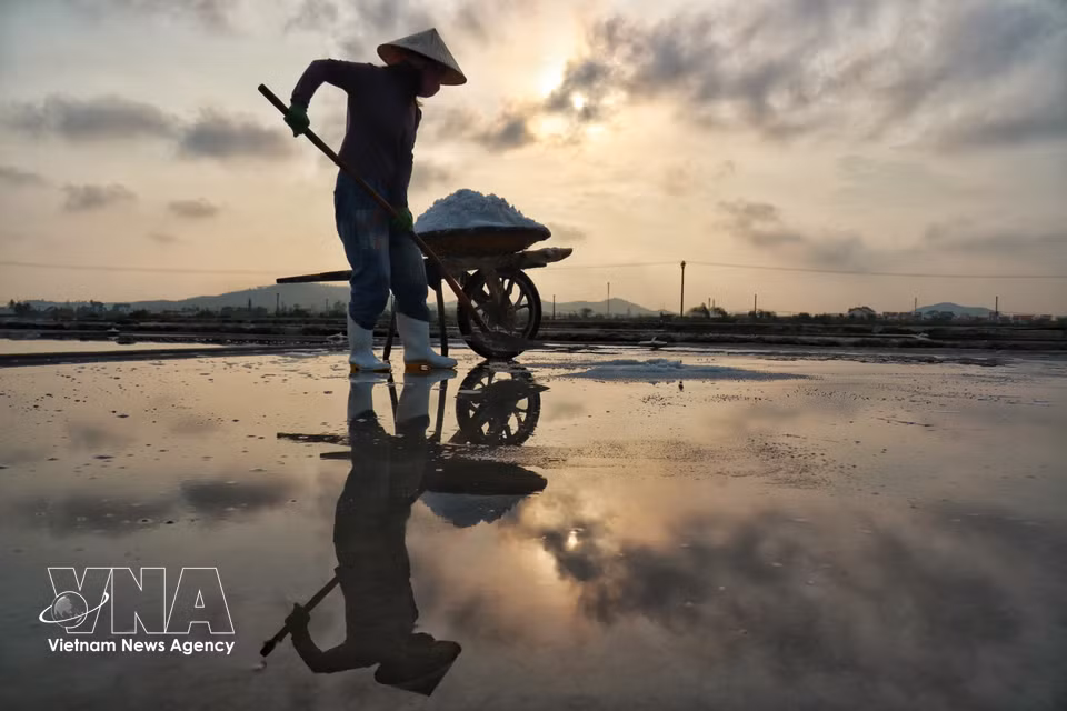 Despite the harsh sun and winds, salt farmers continue working diligently every day to preserve their trade. (Photo: VNA)