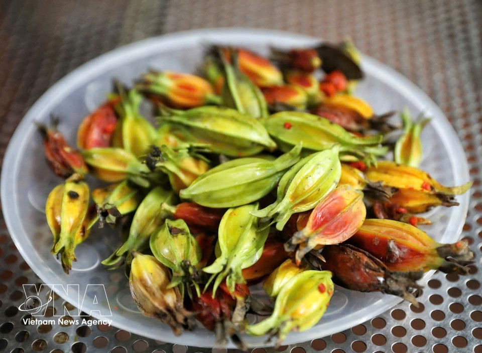 Gardenia fruit used to create the cake’s golden colour. (Photo: Viet Hung – VNA)