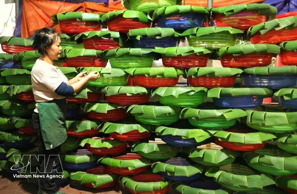 Drying the leaves before using them to wrap the cakes. (Photo: Viet Hung – VNA)