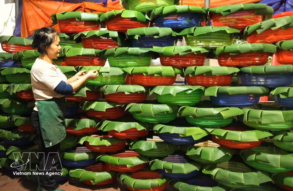Drying the leaves before using them to wrap the cakes. (Photo: Viet Hung – VNA)