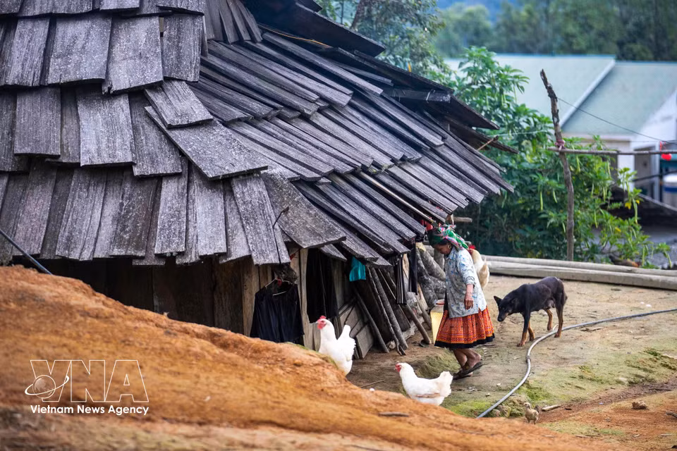 Peaceful daily life in traditional wooden houses in Lang Sang village (Photo: VNA)