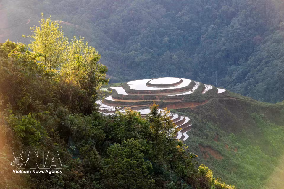 Terraced fields during the flooding season in Lang Sang village. (Photo: VNA)