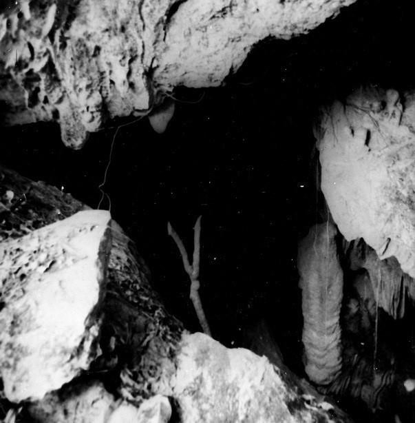 President Ho Chi Minh chose Cao Bang-of strategic geopolitical, defence and security importance and rich in patriotic tradition—as the first revolutionary base area. In the photo: Coc Bo Cave, where Nguyen Ai Quoc lived and worked upon returning to the country in February 1941. (Photo: VNA)