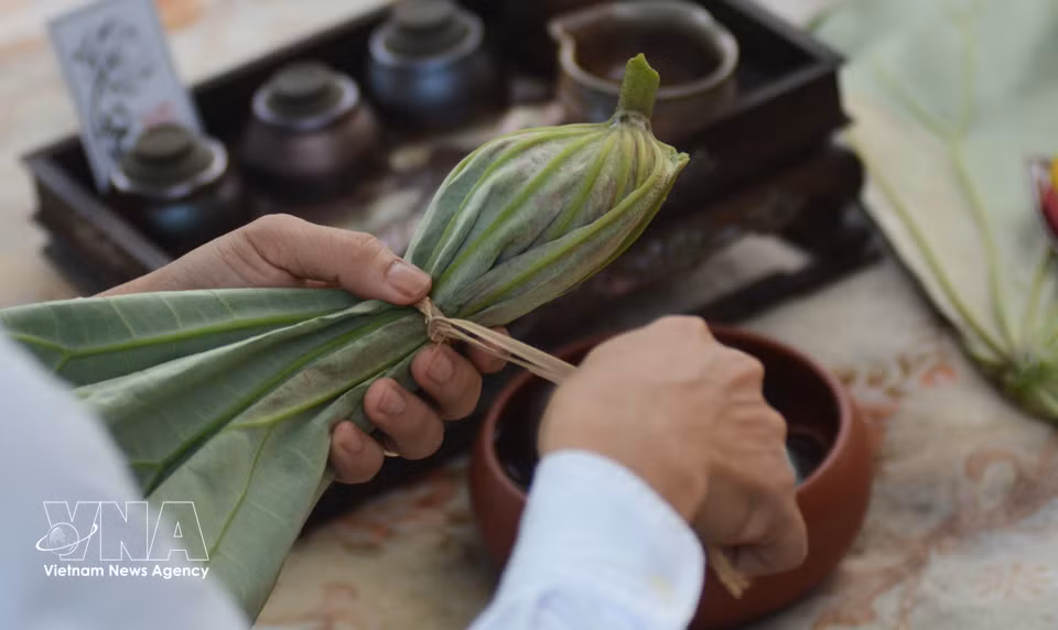 Lotus tea scented inside lotus bulbs is wrapped in lotus leaves and stored in a refrigerator to preserve its freshness. (Photo: VNA)