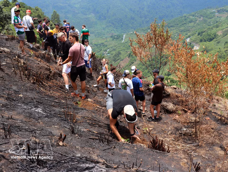 International tourists enjoy planting young trees while exploring the karst plateau. (Photo: VNA)