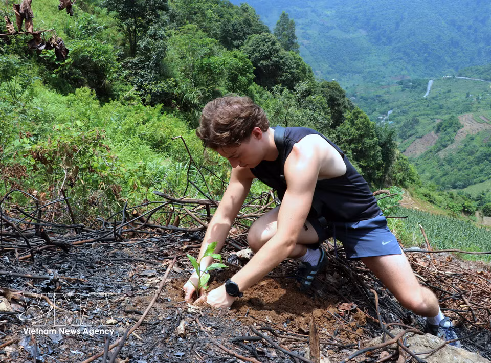 Planting a young tree is a memorable experience for international visitors exploring the Dong Van Karst Plateau. (Photo: VNA)