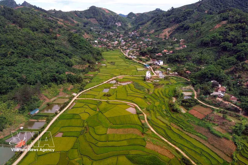 Terraced rice fields in Hun village, Chieng Coi ward, Son La province. (Photo: VNA)