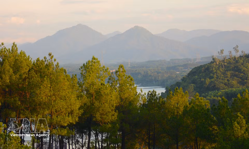 Rows of green pine trees surrounding Vong Canh hill create a peaceful and relaxing atmosphere. (Photo: Van Dung/VNA)