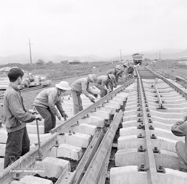 In the early 20th century, the Vietnamese working class emerged as the vanguard force of the revolution, further enriching the nation’s proud traditions. Today, it has undergone significant transformation, serving as the core force in the alliance between workers, farmers, and intellectuals under the leadership of the Party. It plays a leading role in the country’s industrialisation, modernisation, and international economic integration, making substantial direct contributions to national construction and development. (Photo: VNA)