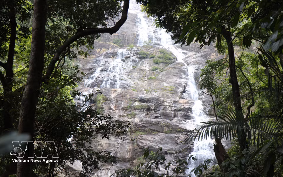 Thac Lua Waterfall beneath the canopy of primary forest. (Photo: VNA)
