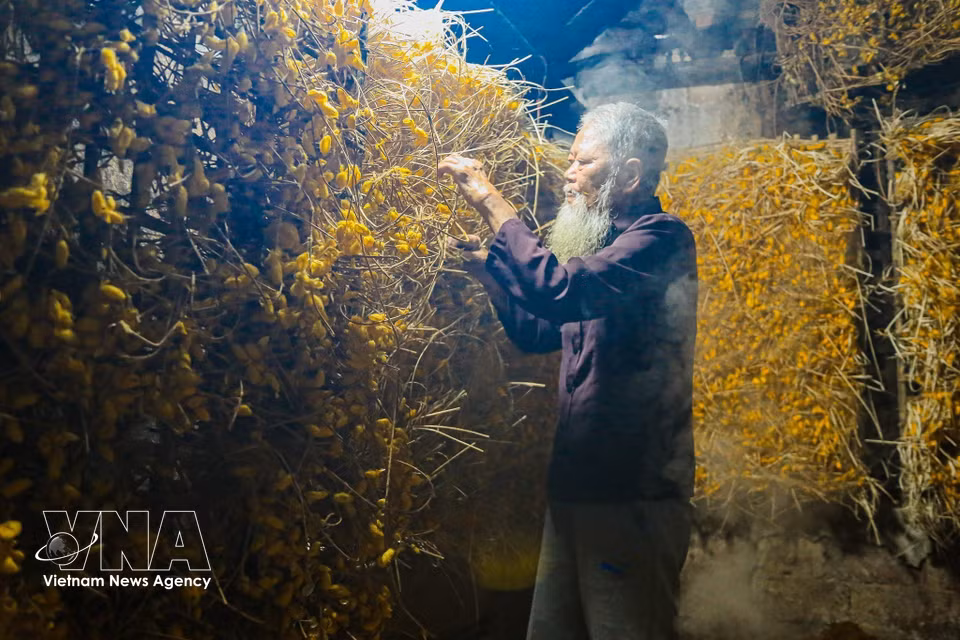 After feeding on mulberry leaves, silkworms spin silk threads to form bright golden cocoons. (Photo: VNA)