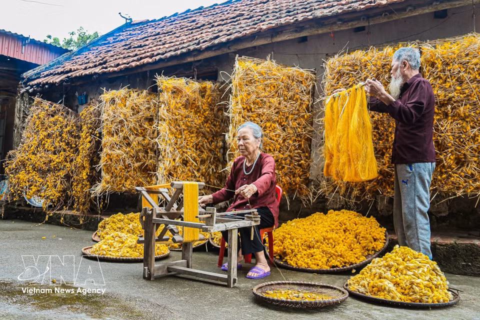 In their family courtyard, an elderly couple work together to harvest cocoons and reel silk threads. (Photo: VNA)