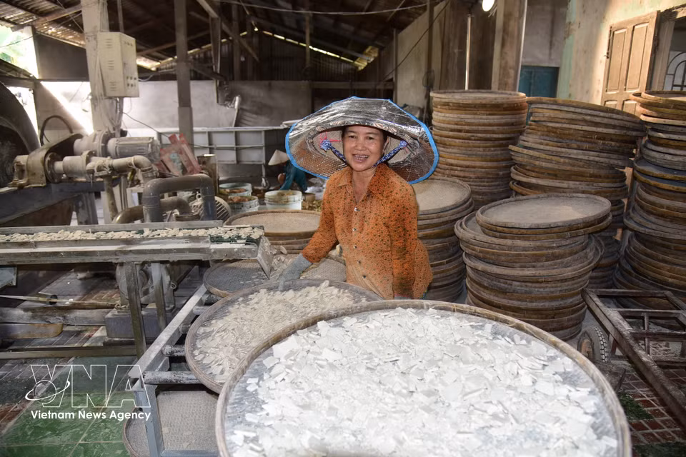 Huynh Thi Hong Nga spreads rice flour evenly onto bamboo trays before drying it in the sun. (Photo: VNA)