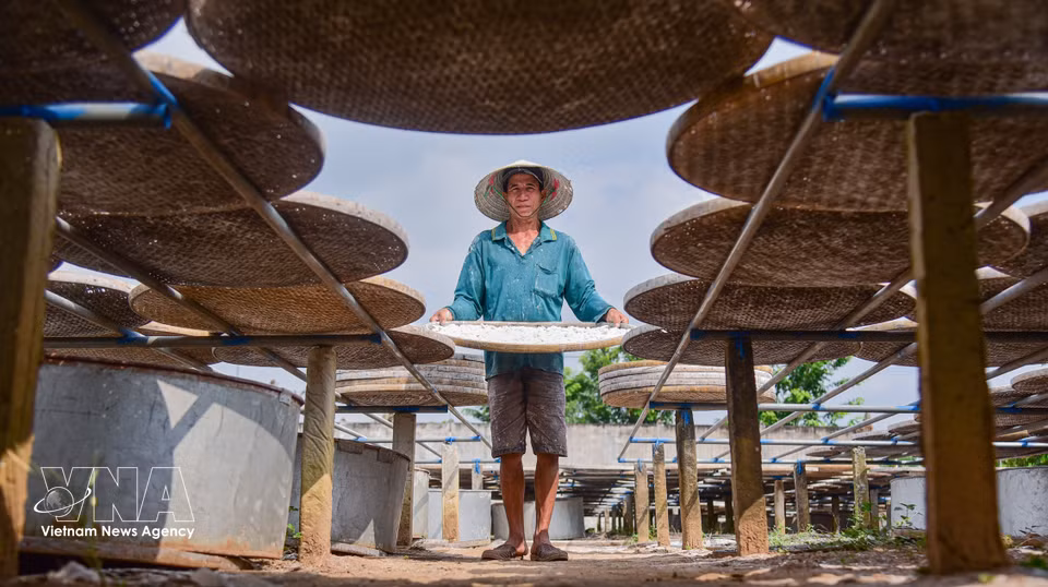 A worker dries rice flour under the harsh sun. (Photo: VNA)