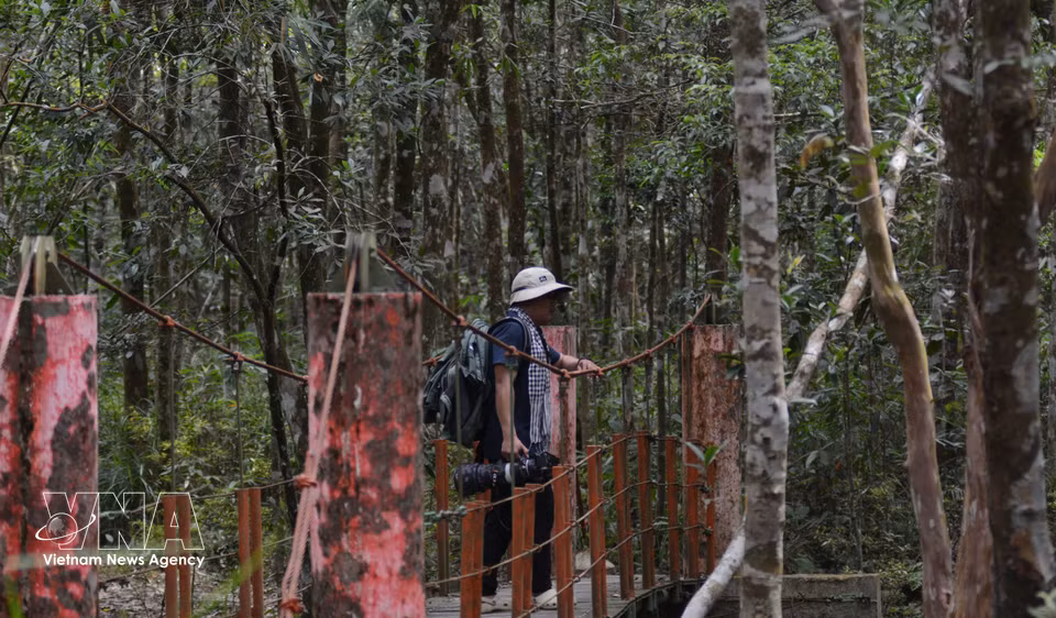 Visitors trek through Bach Ma forest to explore its natural landscapes. (Photo: Van Dung – VNA)