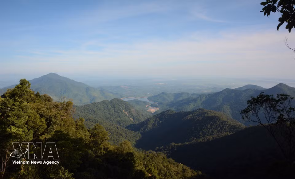 The vast and diverse ecosystem of Bach Ma National Park. (Photo: Van Dung – VNA)