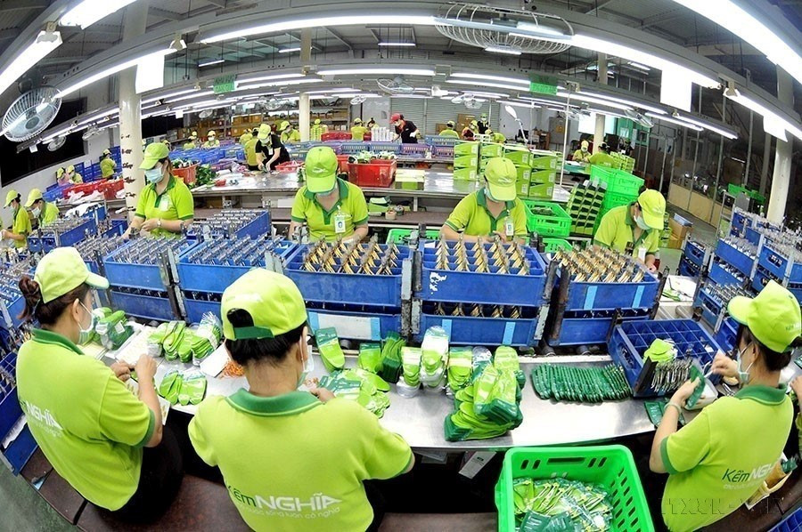 A pliers packaging line at the factory of Kem Nghia JSC., Tan Binh district, Ho Chi Minh City (2015). (Photo: VNA)